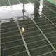 Verwarming Folie Set 25 m² / 3000 Watt Set met MRC-thermostaat | Wit - afb. 4